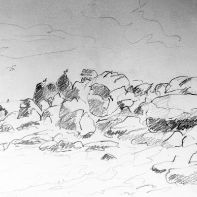 Bretagne    Cotes d'Armor  graphite 20:30 cm