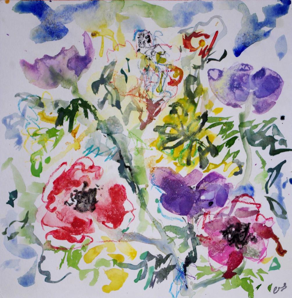 anemone 16