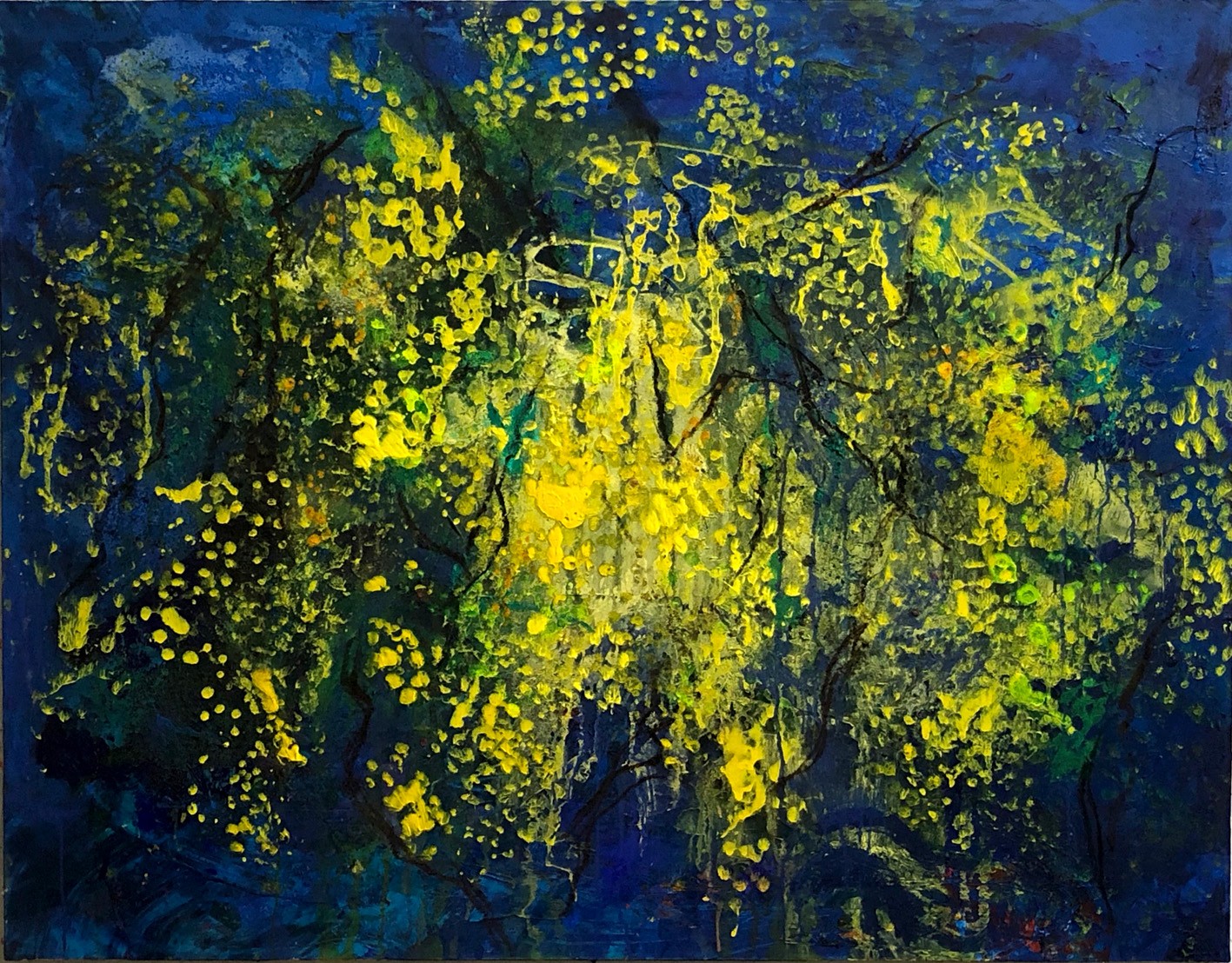 Les mimosas de ramatuelle 2   114/146 cm